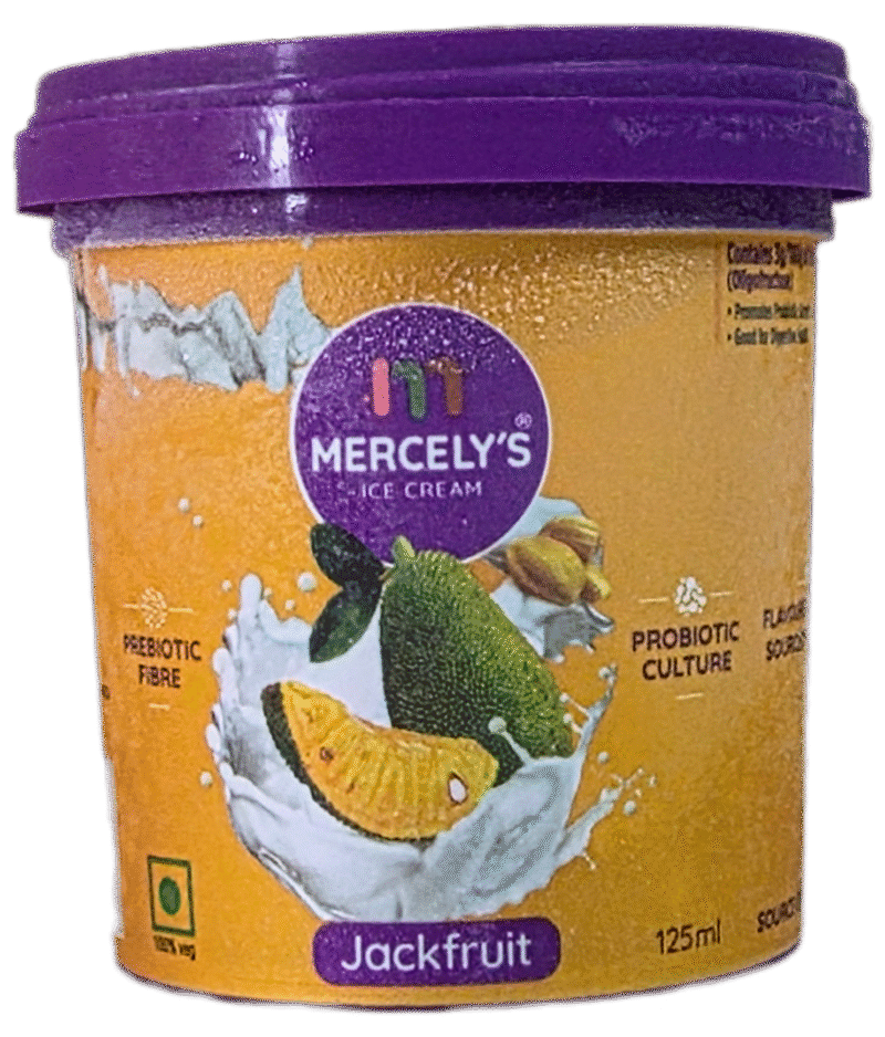 Mini Tub Jack Fruit (1 Nos)