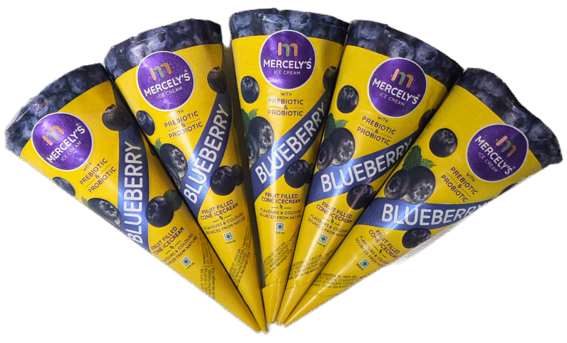 Fruit Filled Cone Blueberry (16 Nos)